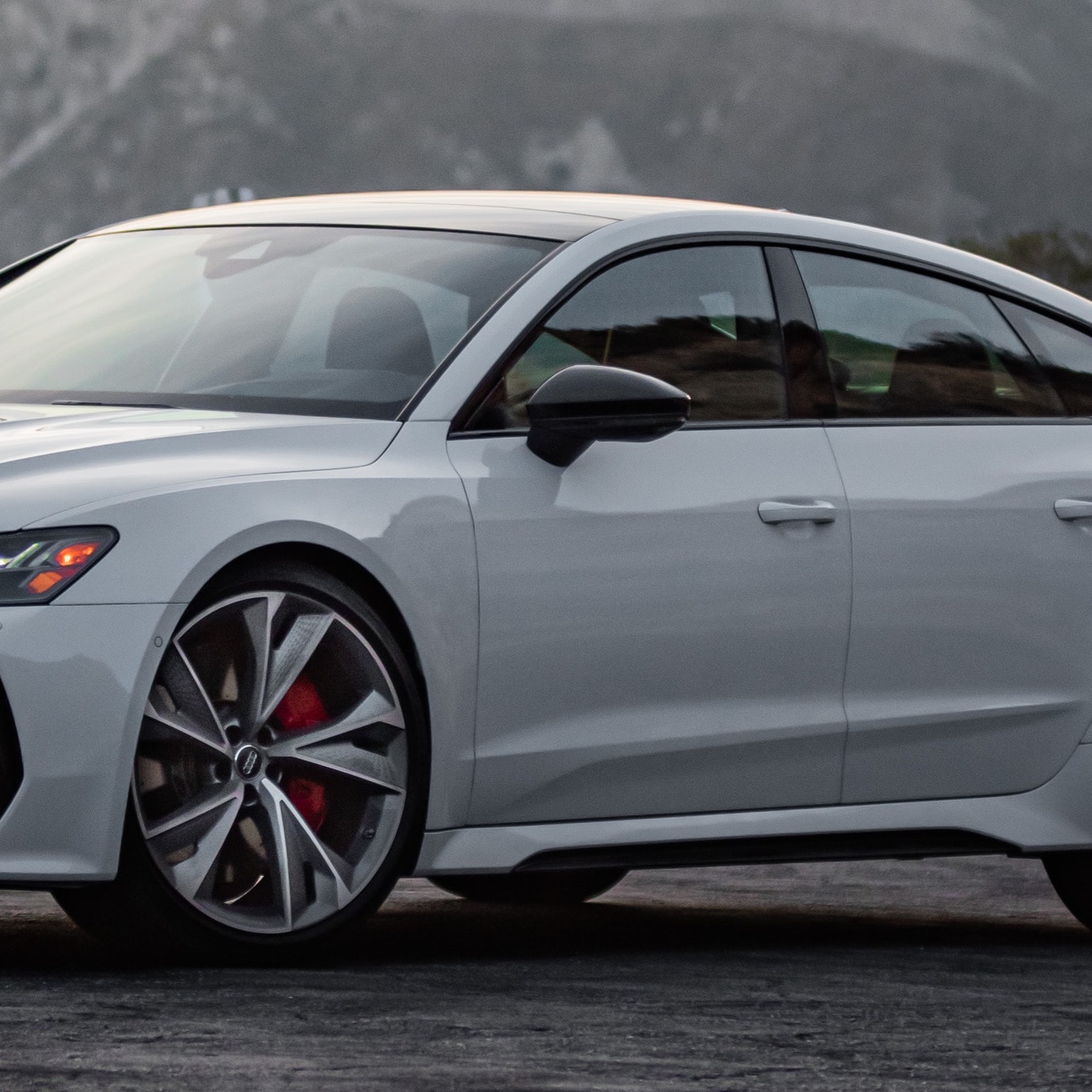 RAYNO MonoCarbon — рулон плёнки